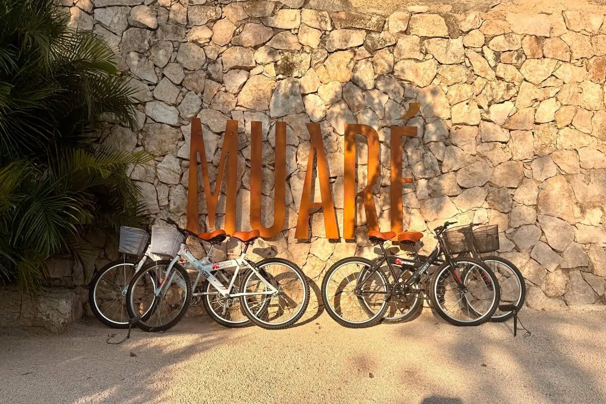 Suite-muare-7